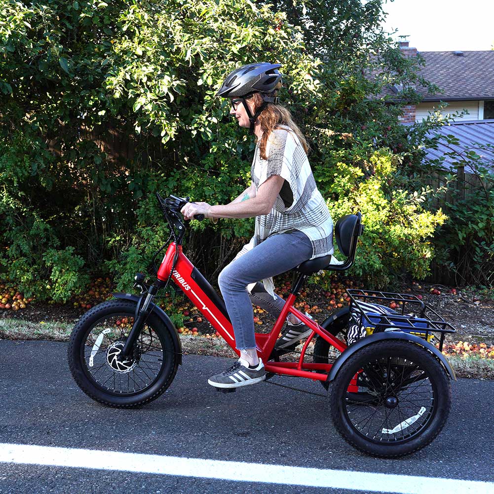 Viribus SC5 Fat Tire Electric Tricycle